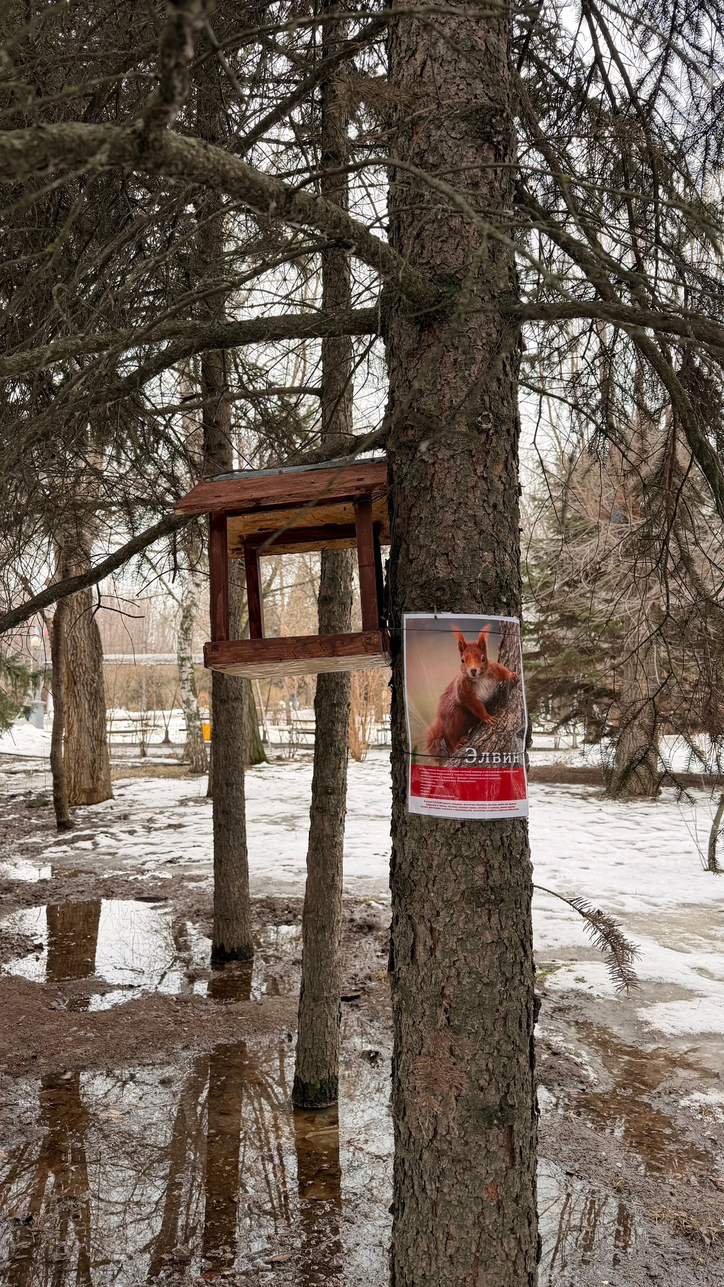 С сегодняшнего дня белочки в парке «Гидростроитель» официально открыли сезон объедалок и позирования! Жаль, нам не удалось застать ни одну х…