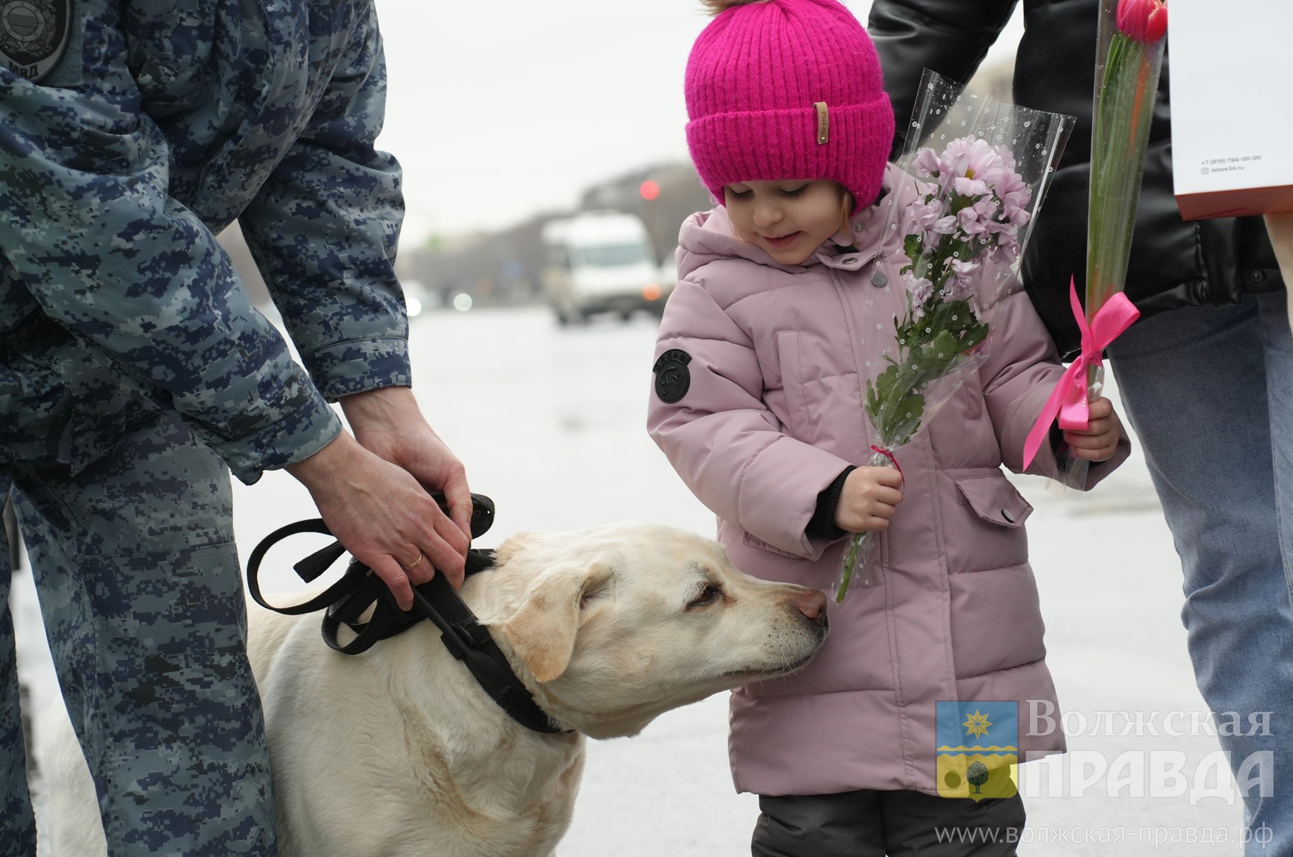 Цветочный патруль: госавтоинспекторы, кинологи и активисты поздравили волжанок с наступающим 8 Марта