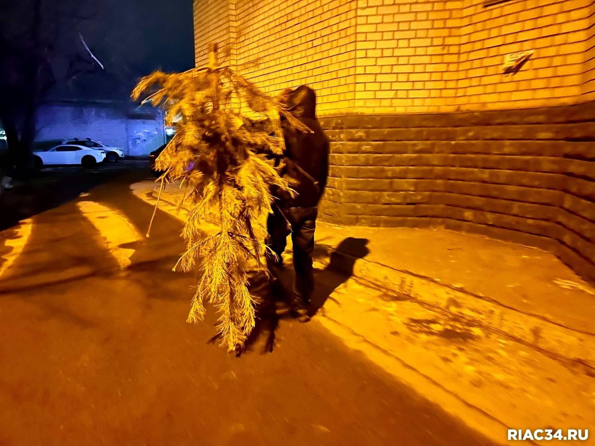 Не, ну это как-то несерьёзно. Кто же так рано выкидывает новогоднюю ёлку? 🎄🤔