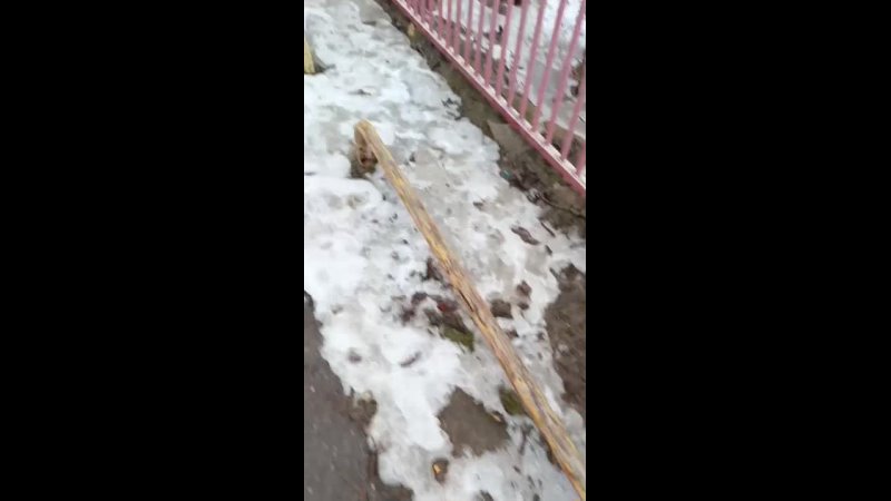 Детский сад "Матрёшка". Разве это правильно?