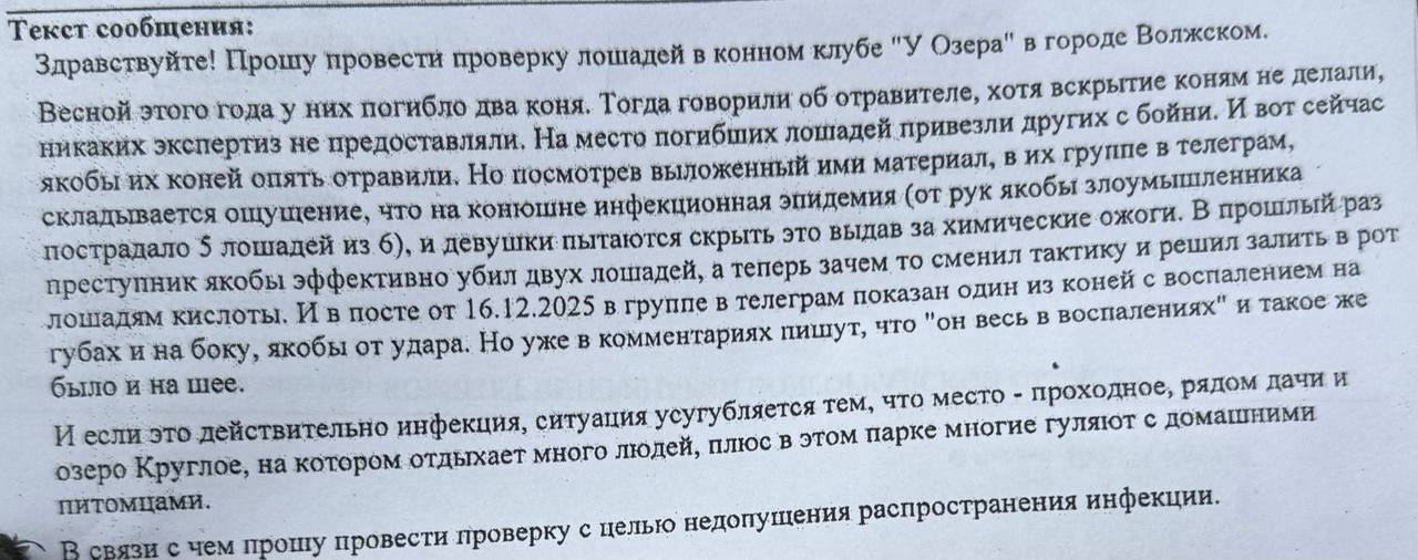 В Волжском уголовное дело об отравлении лошадей в конном клубе «У Озера» передано в СКР. Материалы двух инцидентов (от 13 апреля и 5 декабря…