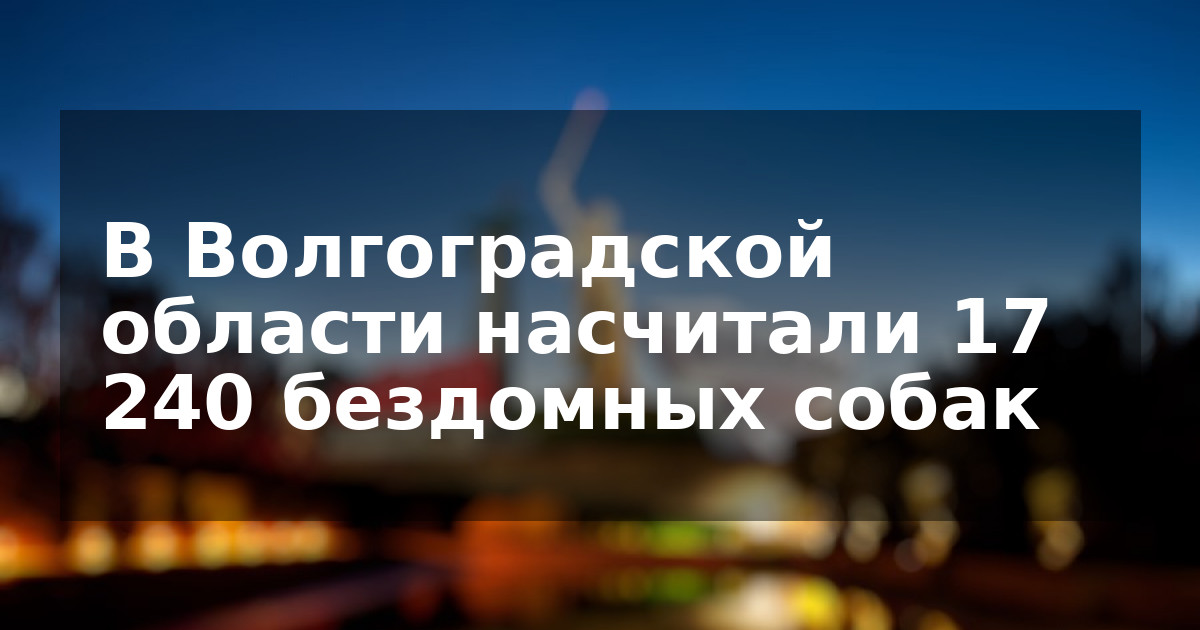 В Волгоградской области насчитали 17 240 бездомных собак