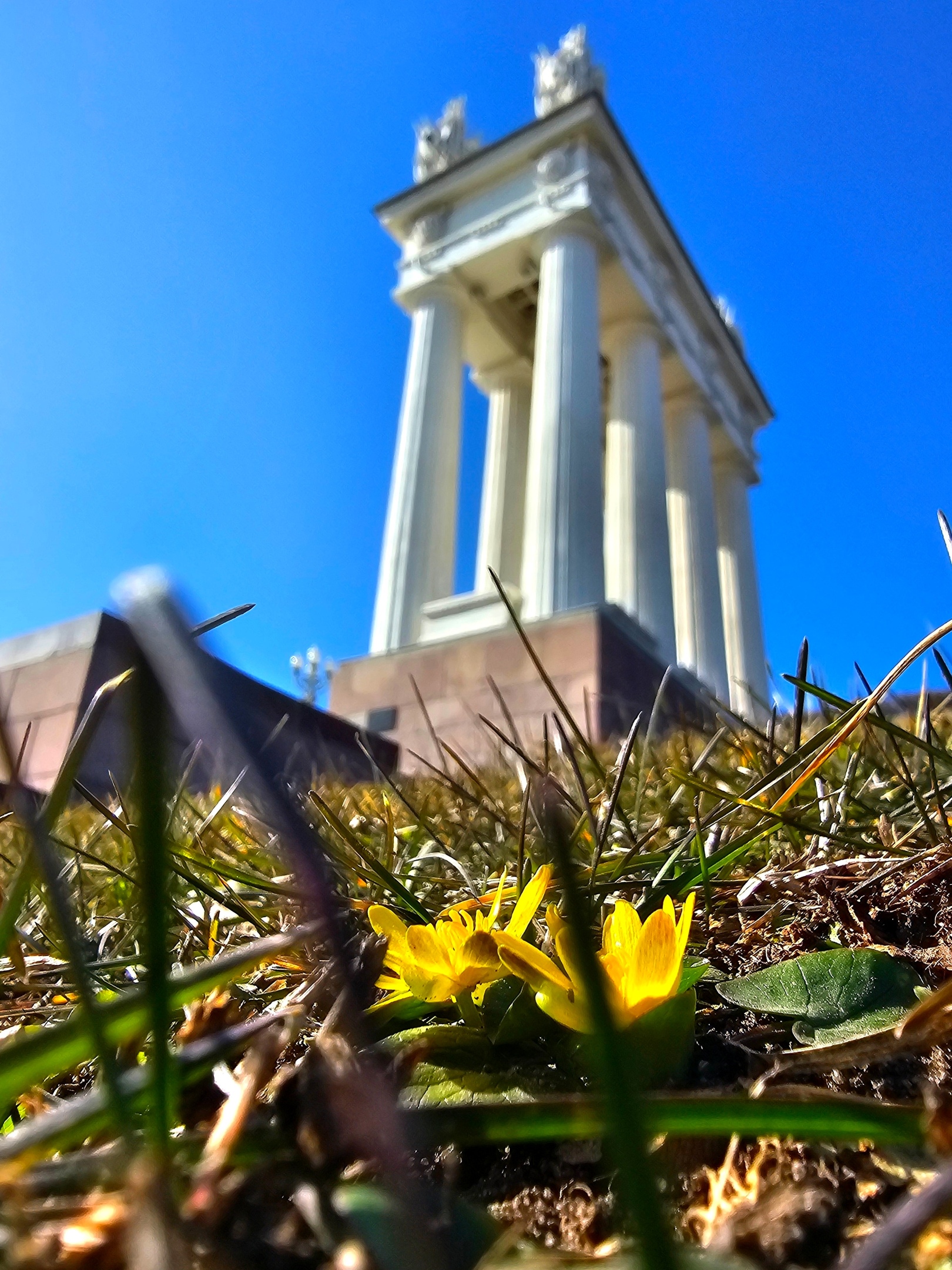 В Волгограде на этой неделе весна окончательно вступила в свои права! 👏😍