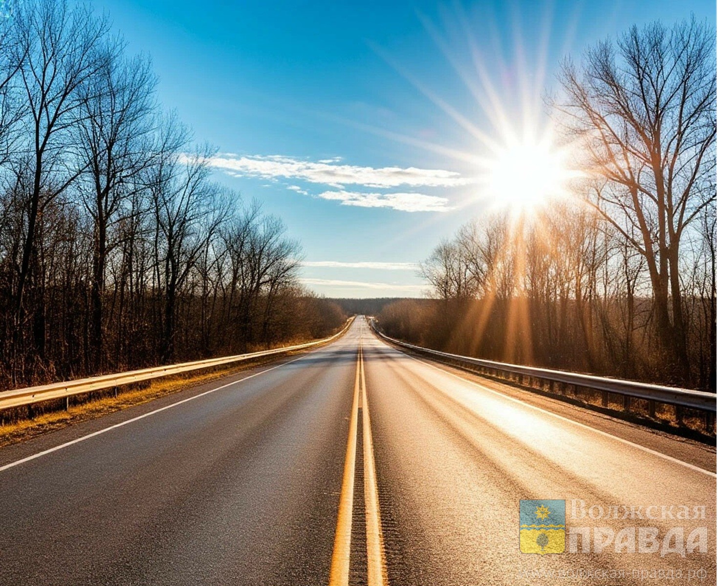С обочины в дерево: на трассе под Волгоградом погиб молодой водитель