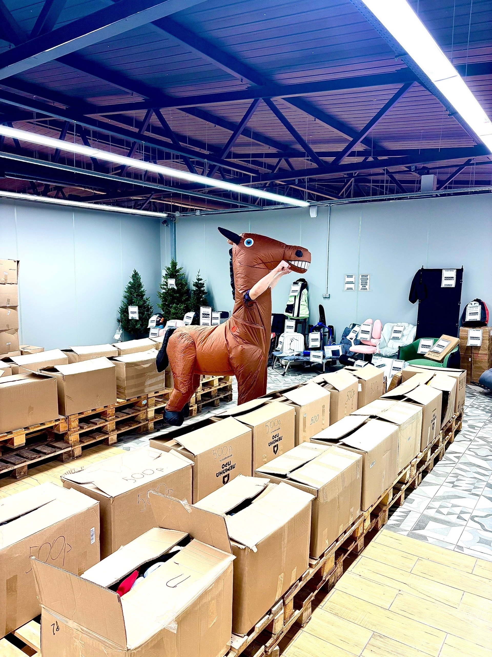 ДОРОГИЕ ДРУЗЬЯ!