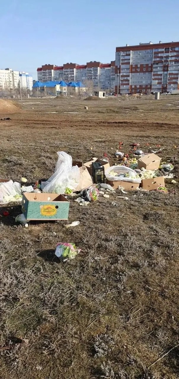 В Волжском жители 14-го микрорайона обнаружили на пустыре несанкционированную свалку гниющих продуктов. Очевидцы нашли там испорченные огурц…