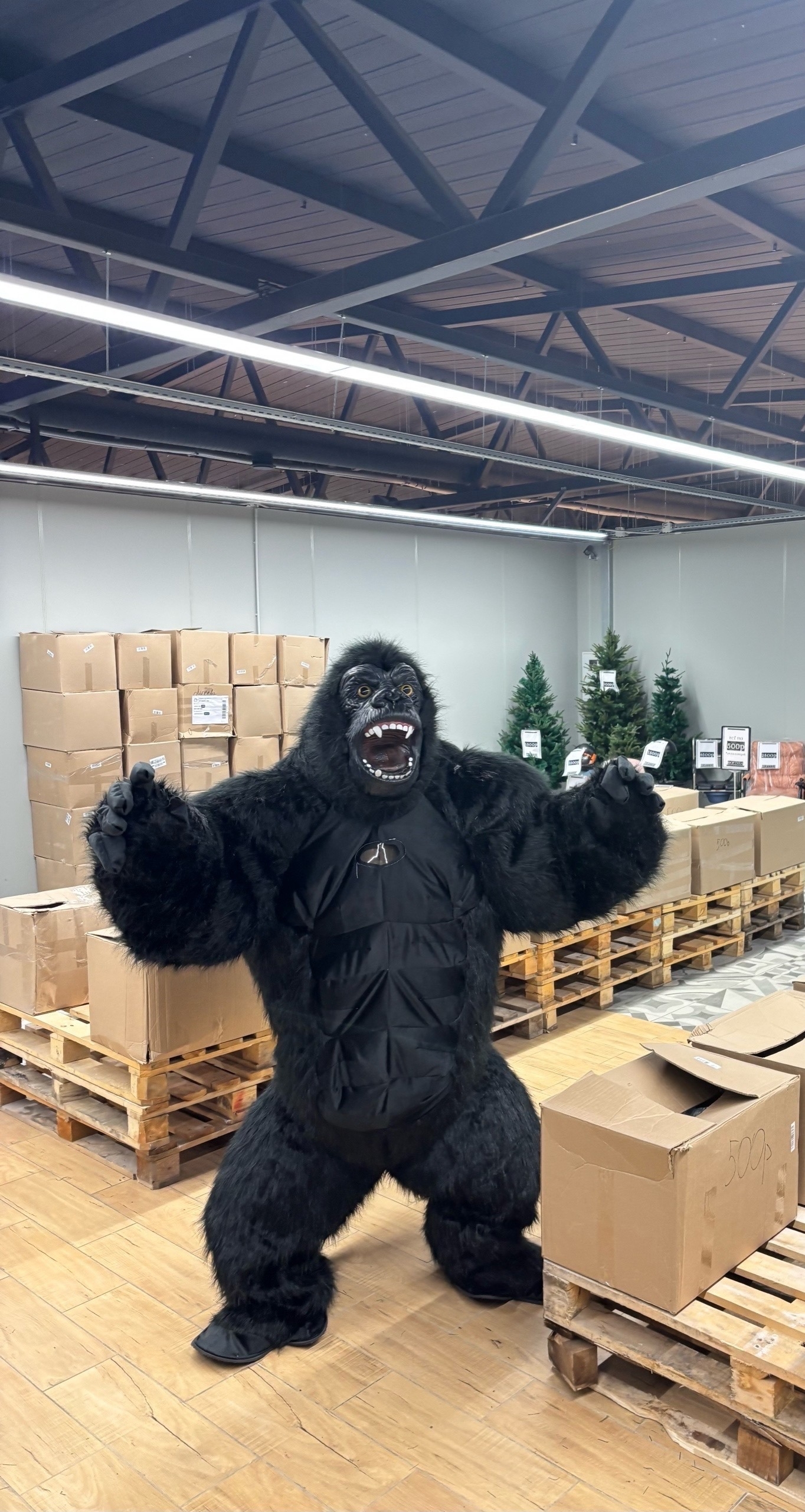 Товары в 2-3 раза ДЕШЕВЛЕ, чем на всех известных маркетплейсах.