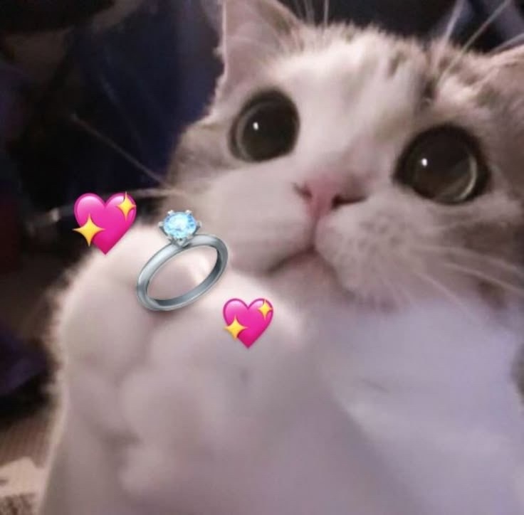 💍 26.06.2026 — самая популярная дата для свадьбы в этом году