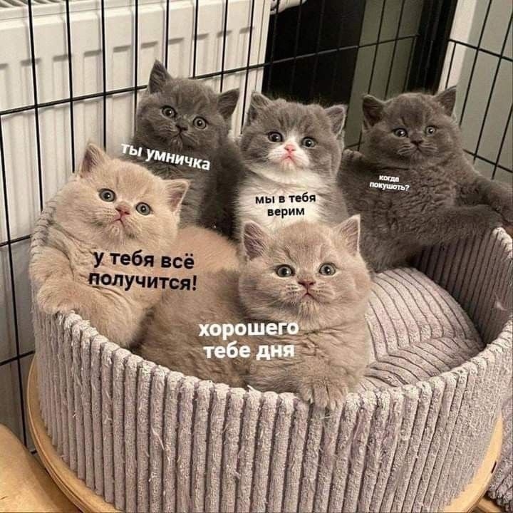 Доброе утро и хорошей рабочей недели! ☀️