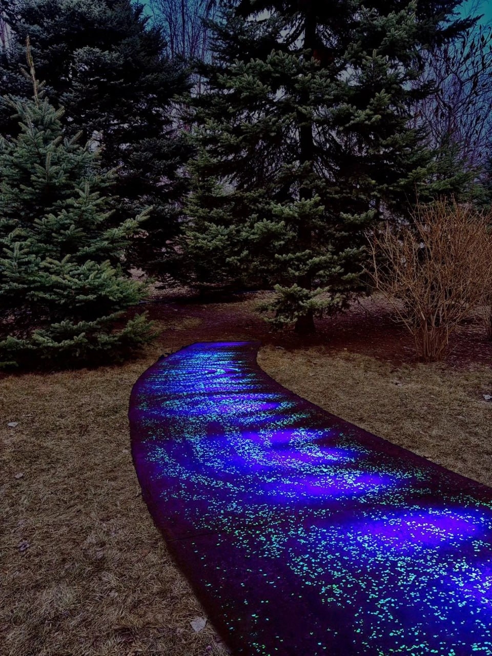 Светящиеся дорожки к беличьим домикам 💫