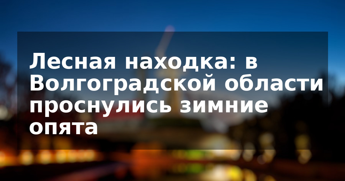 Лесная находка: в Волгоградской области проснулись зимние опята
