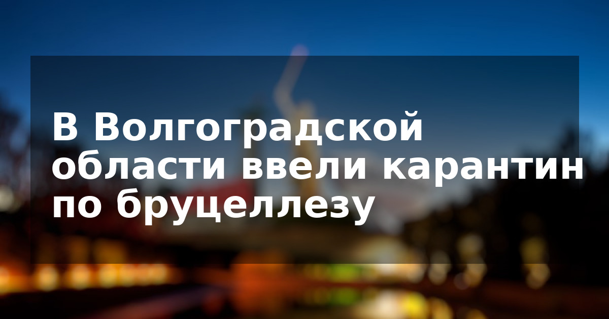 В Волгоградской области ввели карантин по бруцеллезу
