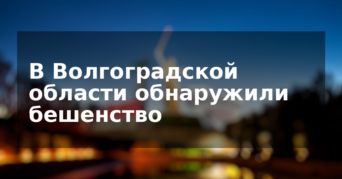 В Волгоградской области обнаружили бешенство