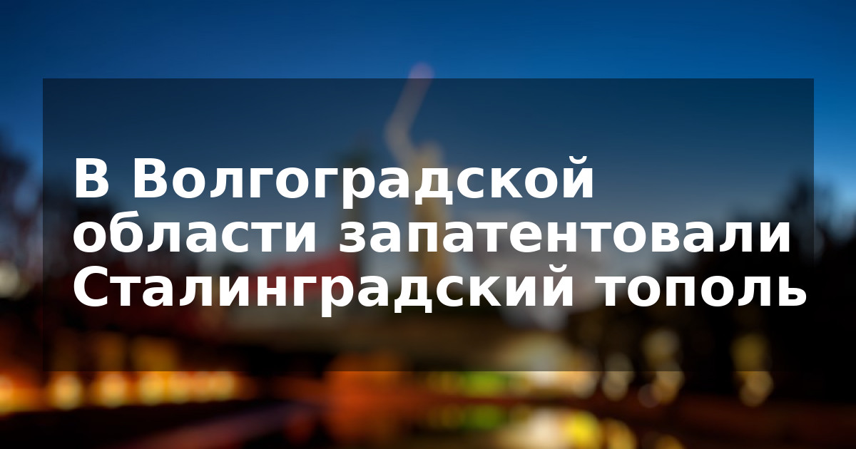 В Волгоградской области запатентовали Сталинградский тополь