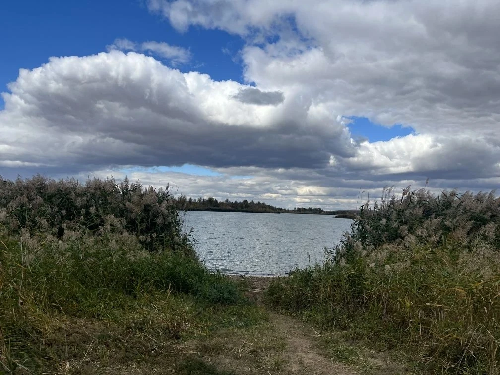 Для рыболовства: администрация Жирновского района приватизировала часть притока Медведицы