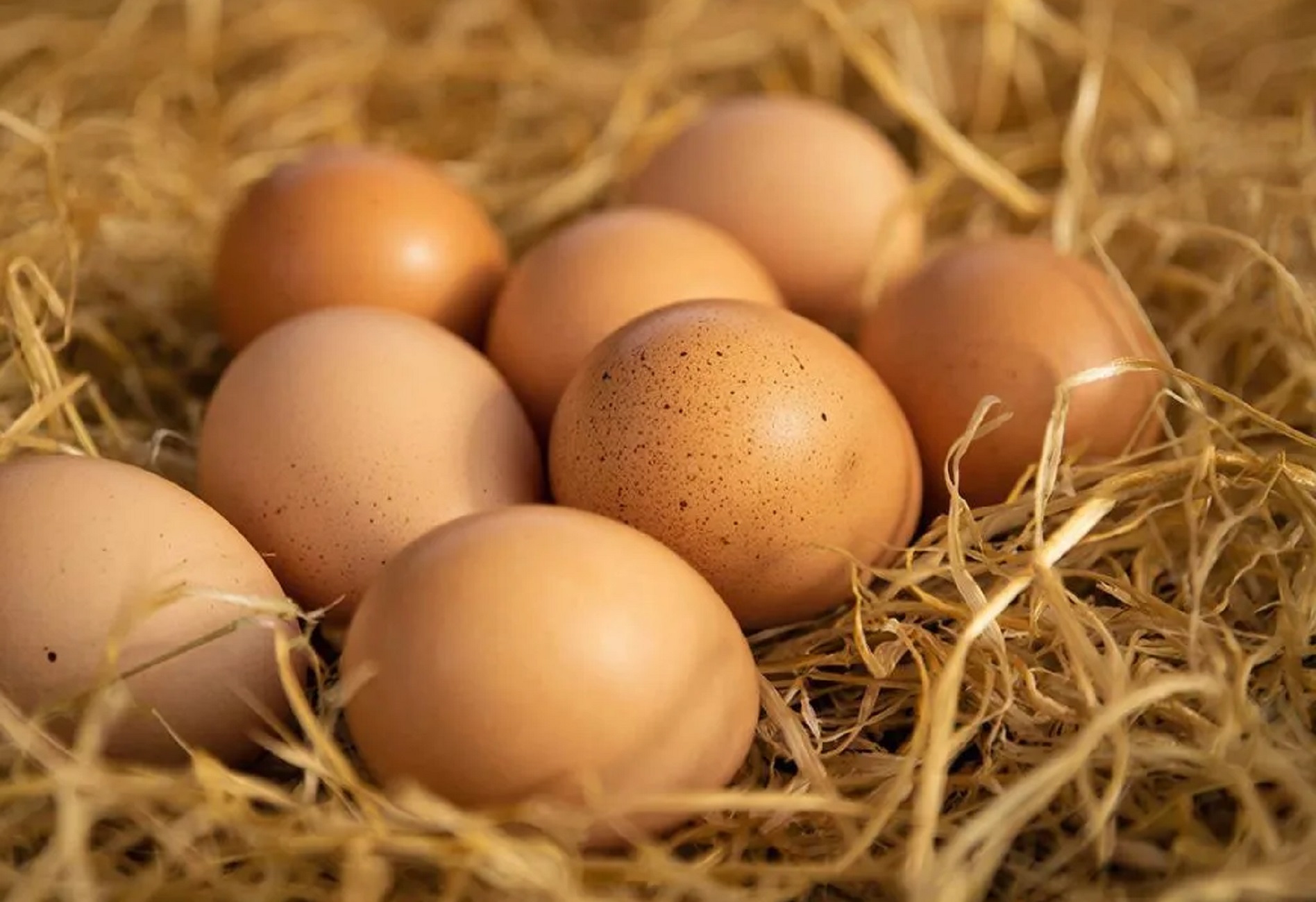 Перед Пасхой в Волгоградской области снизились цены на яйца