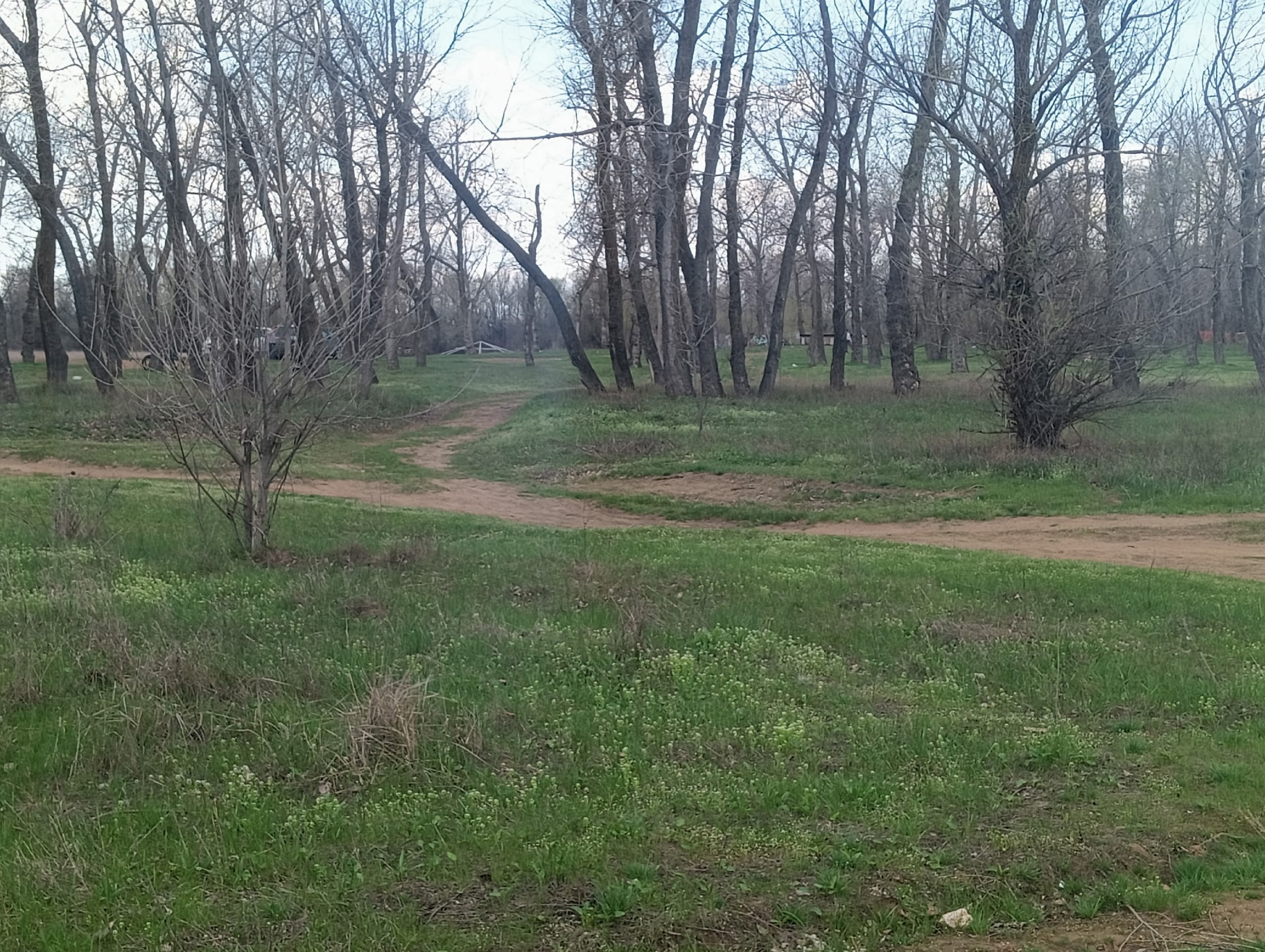 Перекопайте пожалуйста снова дорогу на озеро ,,круглое,,.снова едут машины,без них гораздо лучше.