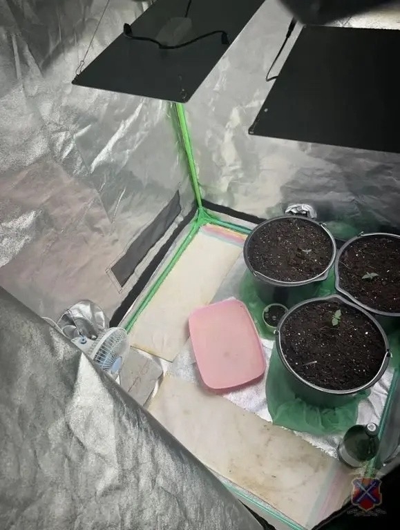 🌱 Волжанин пустился во все тяжкие и вырастил в теплице коноплю