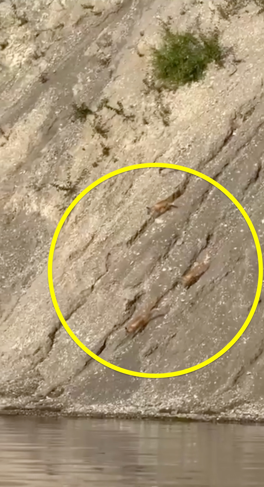 Немного милоты! 🥰