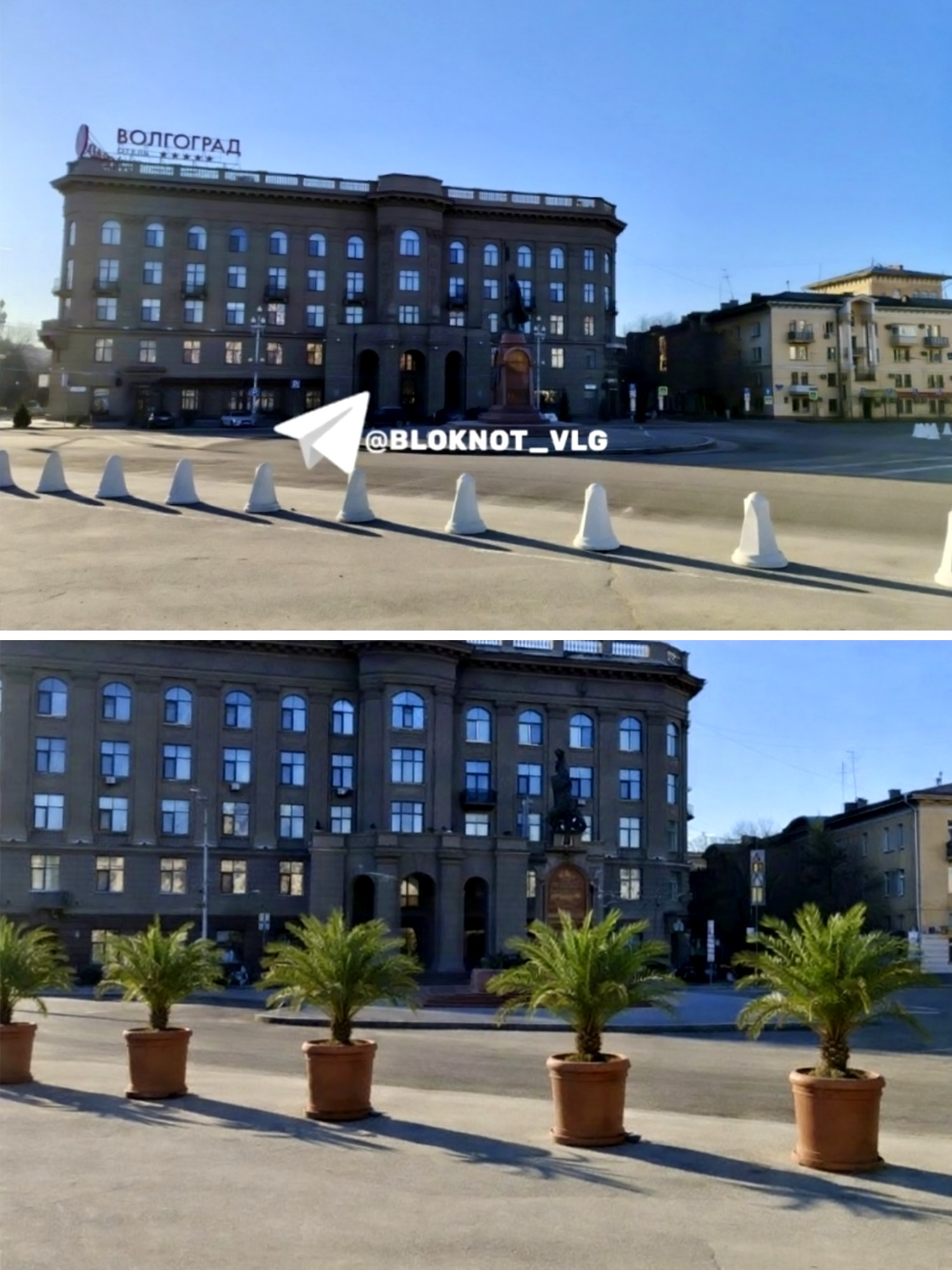 В ближайшие месяцы бетонные столбики на площади Павших борцов заменят вазонами с финиковыми пальмами! 👏🤩