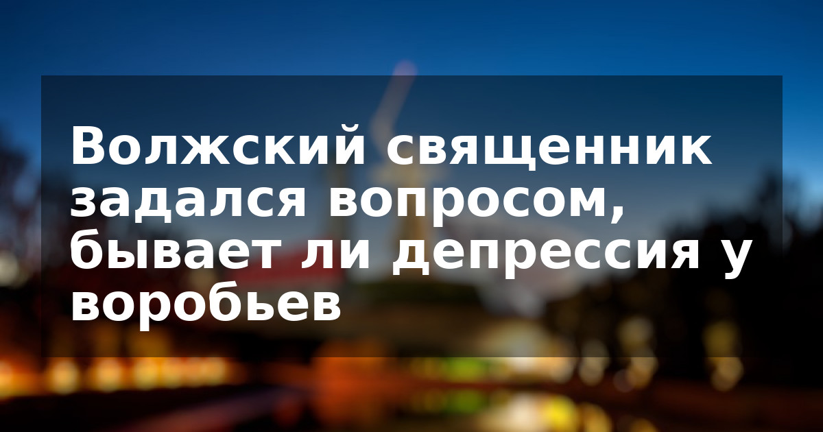 Волжский священник задался вопросом, бывает ли депрессия у воробьев