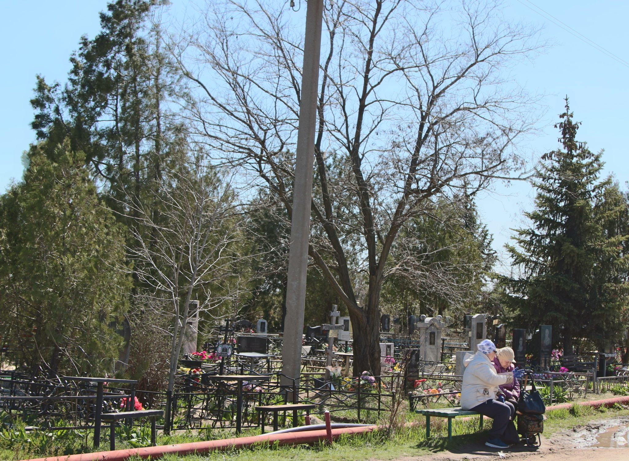 «Сначала закопают, а потом регистрируют»: в Волжском реорганизуют похоронную сферу