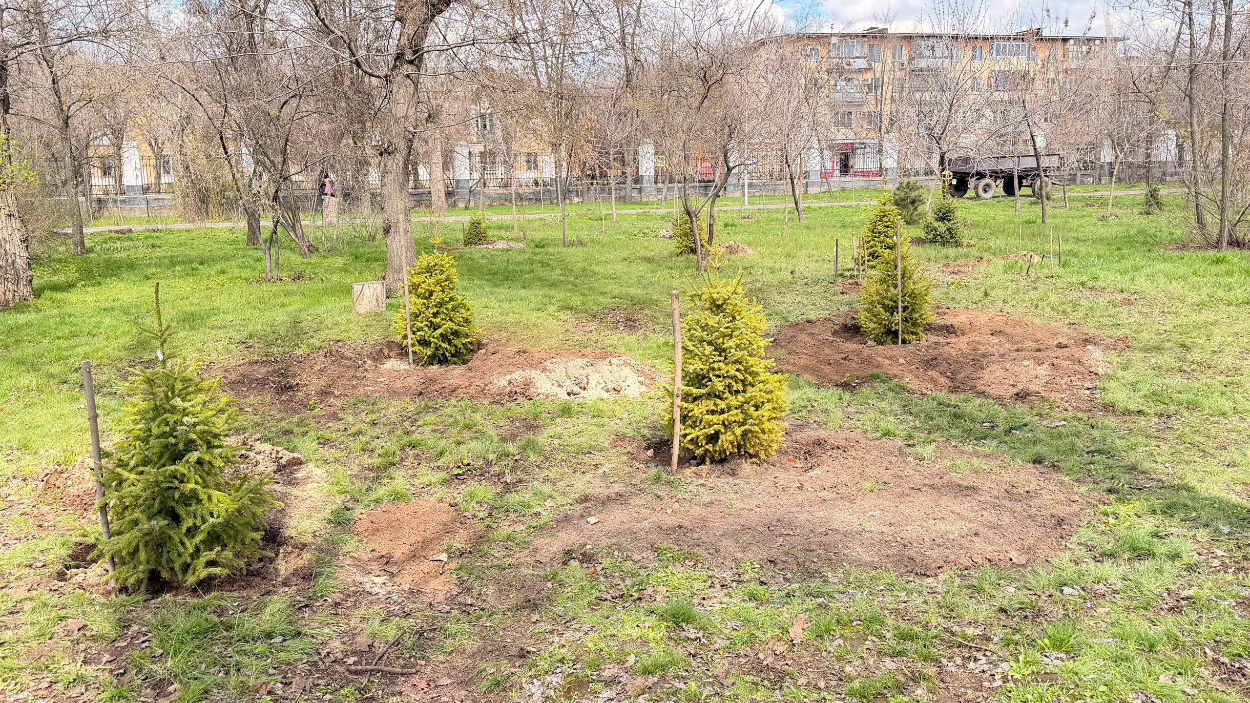 В рамках месячника благоустройства в парке «Гидростроитель» высадили 13 сербских елей. В акции участвовали молодежный совет и сотрудники зав…