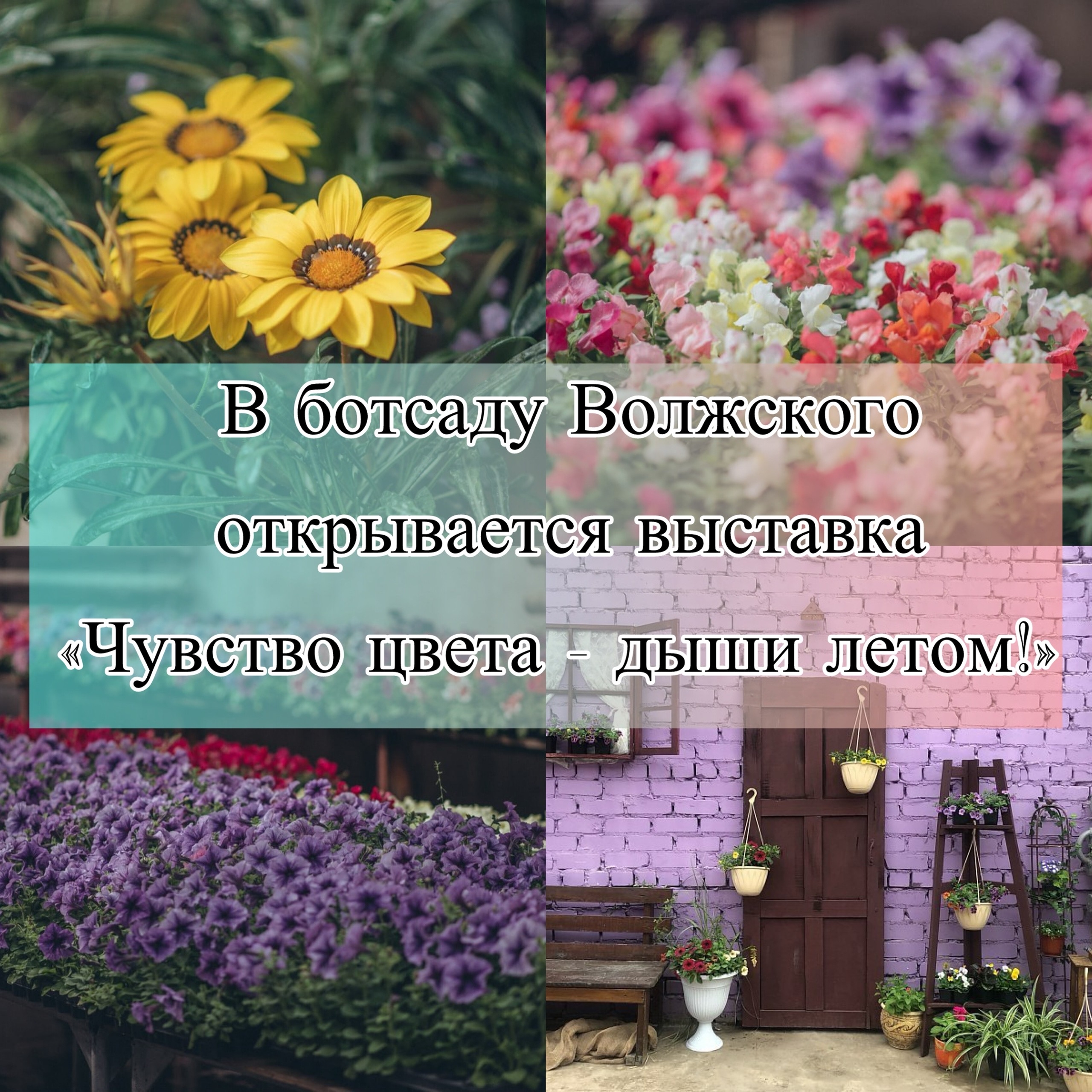 С 11 по 19 апреля в ботсаду Волжского (ул. Набережная, 2л) пройдёт выставка однолетников «Чувство цвета - дыши летом!».