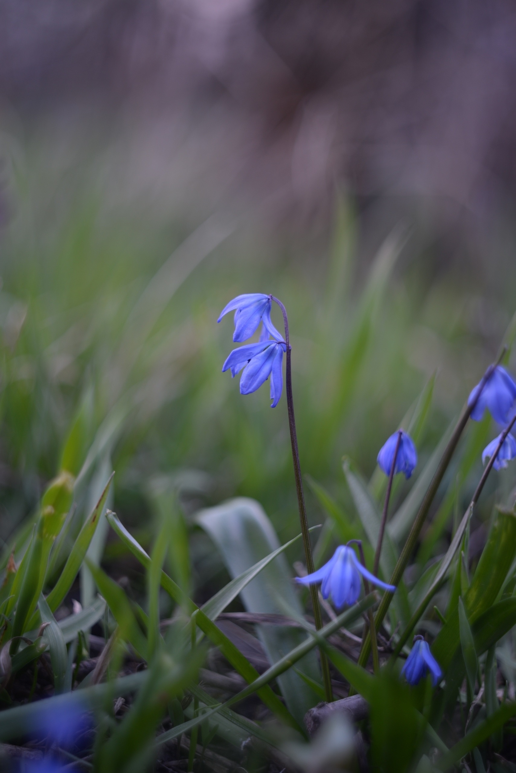 Фотограф-любитель Наталья Алифирова из Клетского района показала сельские зарисовки, сделанные в хуторе Манойлин. С наступлением тепла она в…