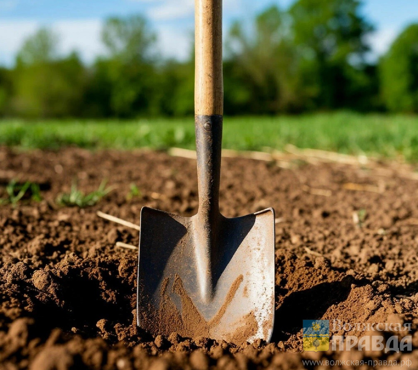 Аграриям Волгоградской области компенсируют затраты на сады и питомники