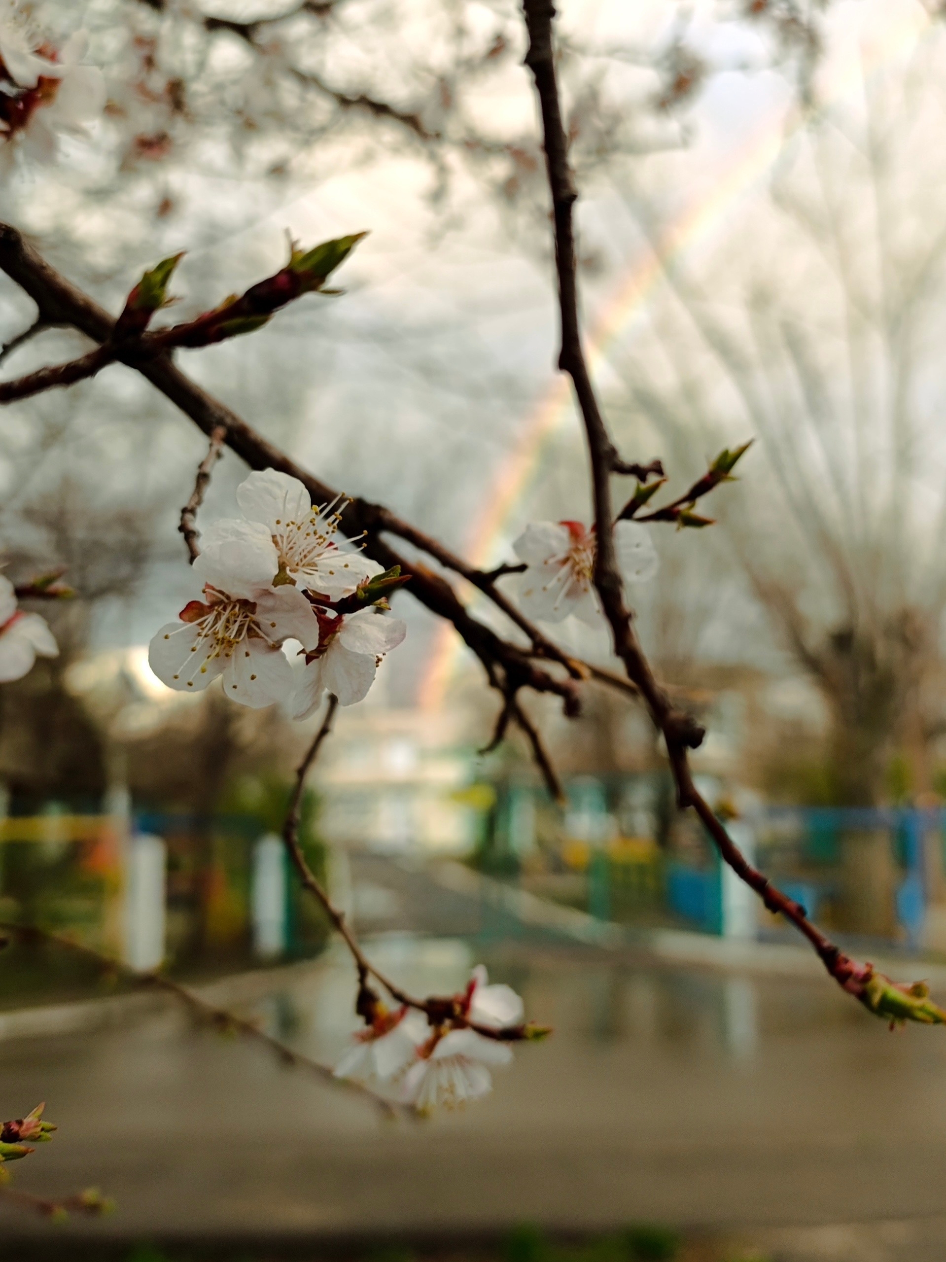 Вот такой красивой радугой озарилось сегодня небо над Волжским 🌈😍