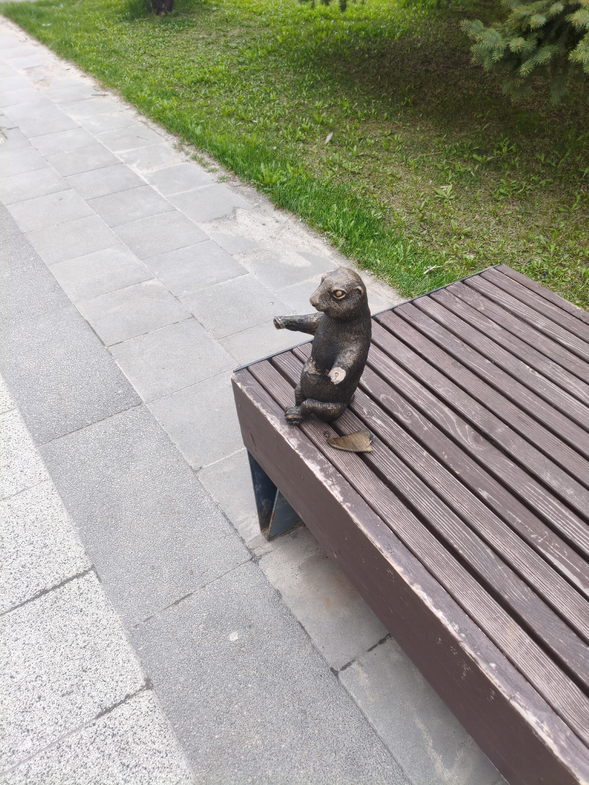 Опять оторвали газету и лапки