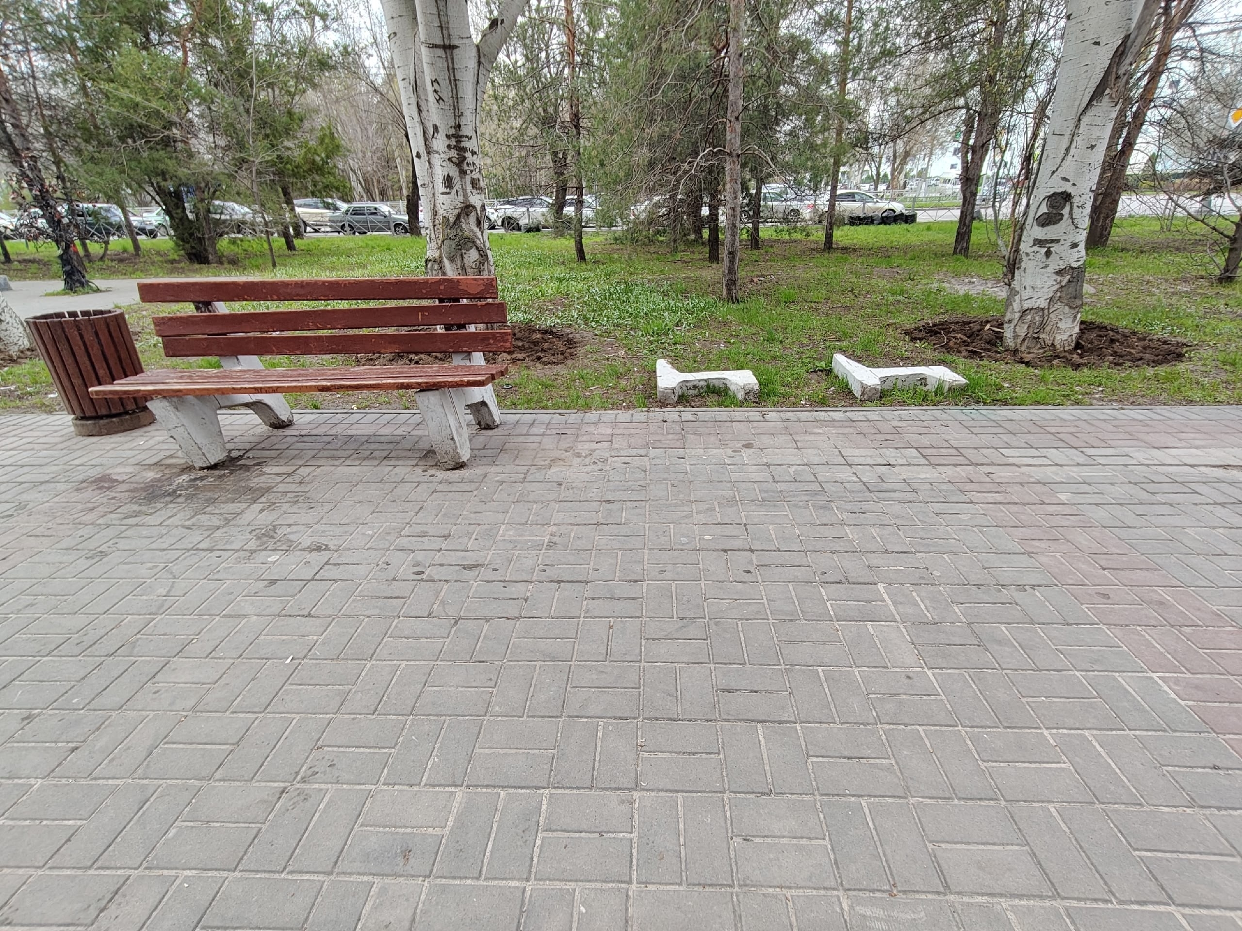 Добрый день. Обращаюсь к вам с просьбой обратить ваше внимание на творящееся варварство у ТЦ "Планета лето". В частности, у забегаловки Бург…