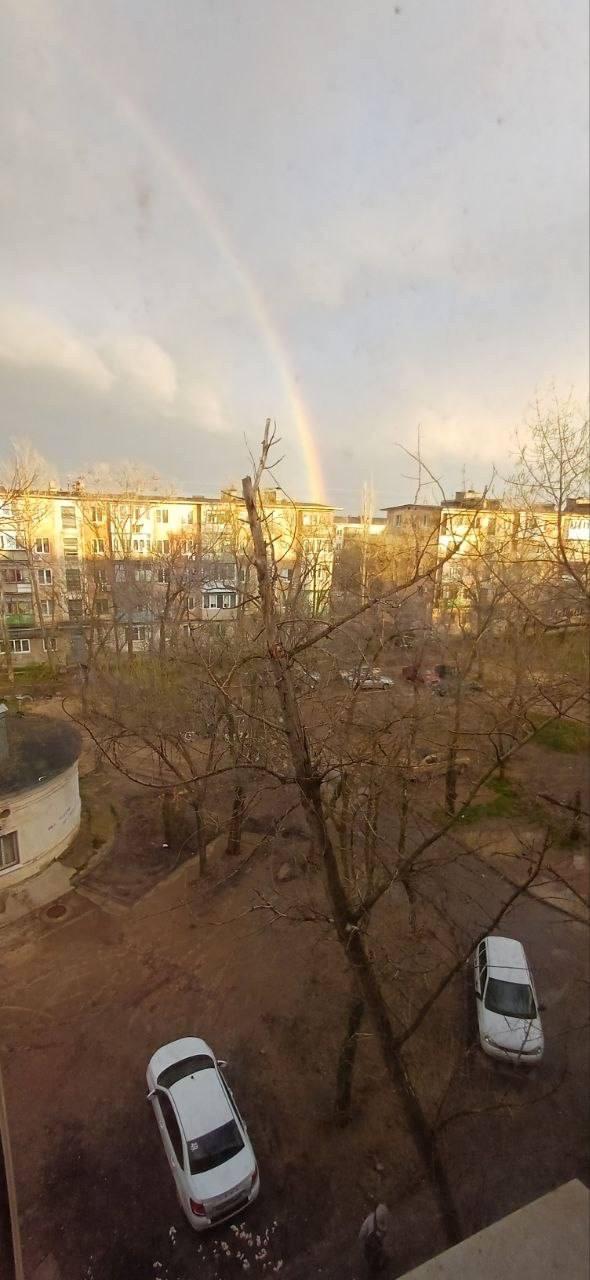 Сухостой скоро упадёт на голову прохожим и оборвет провода от сильного ветра.