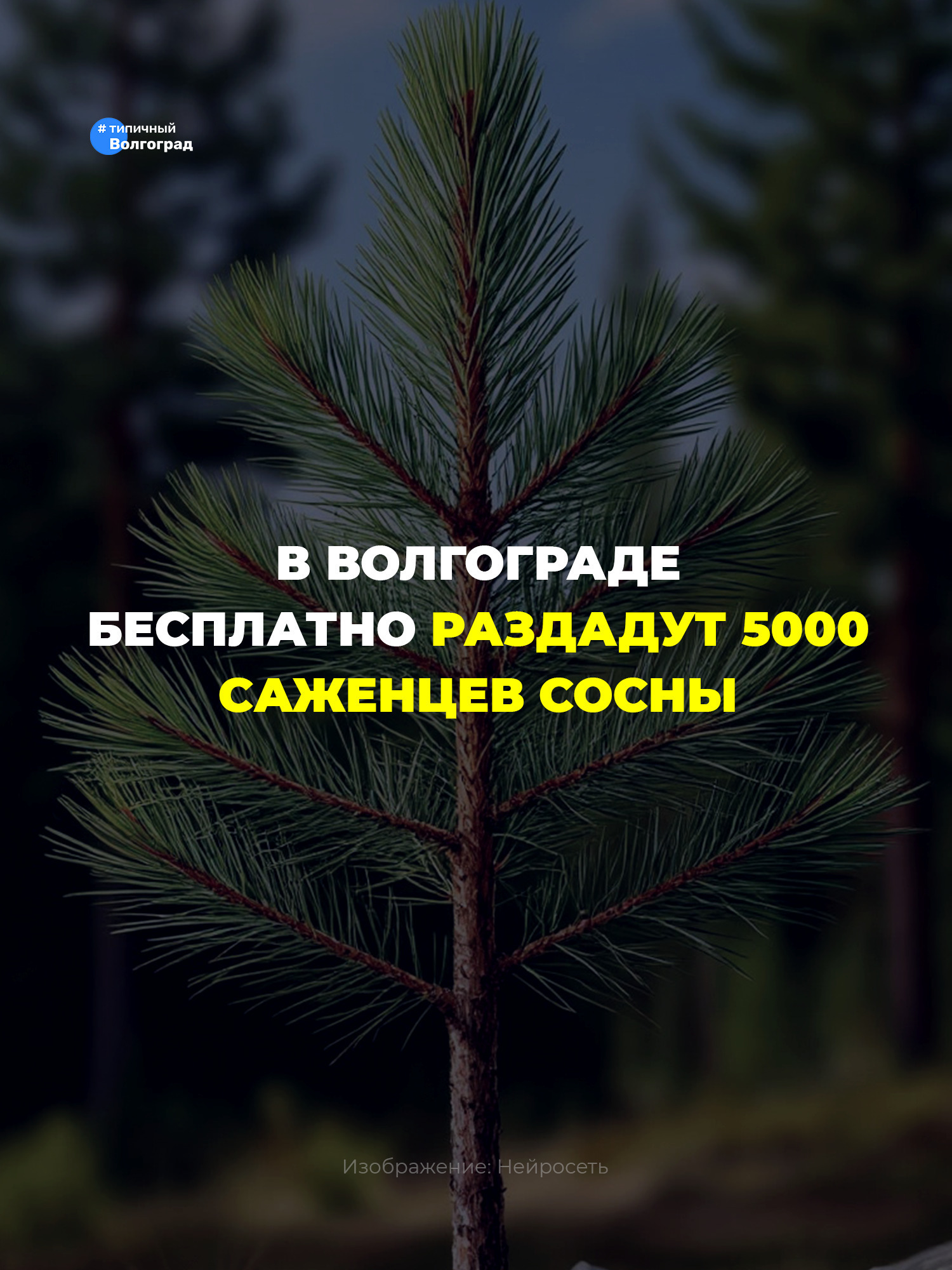 С любовью к природе! 💚