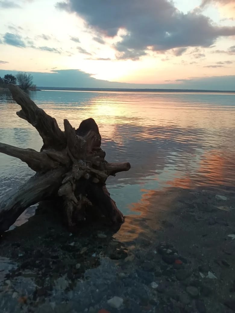 Вид на Волгу с СНТ"Цветущий сад".