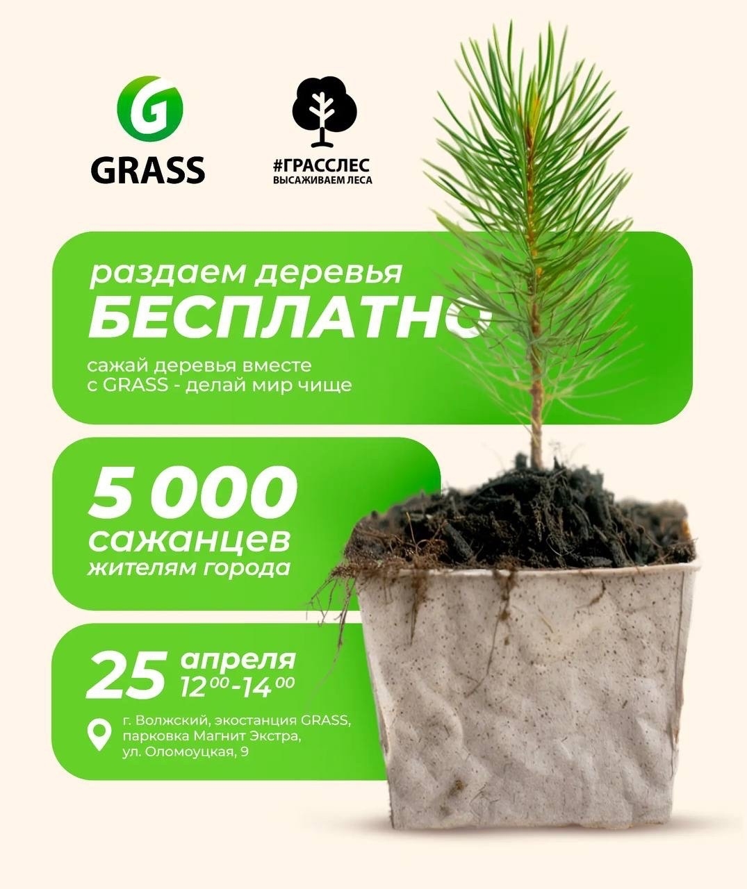 В Волжском раздадут бесплатные саженцы сосны 🌲