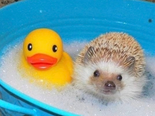 💧С завтрашнего дня в Волжском отключат горячую воду