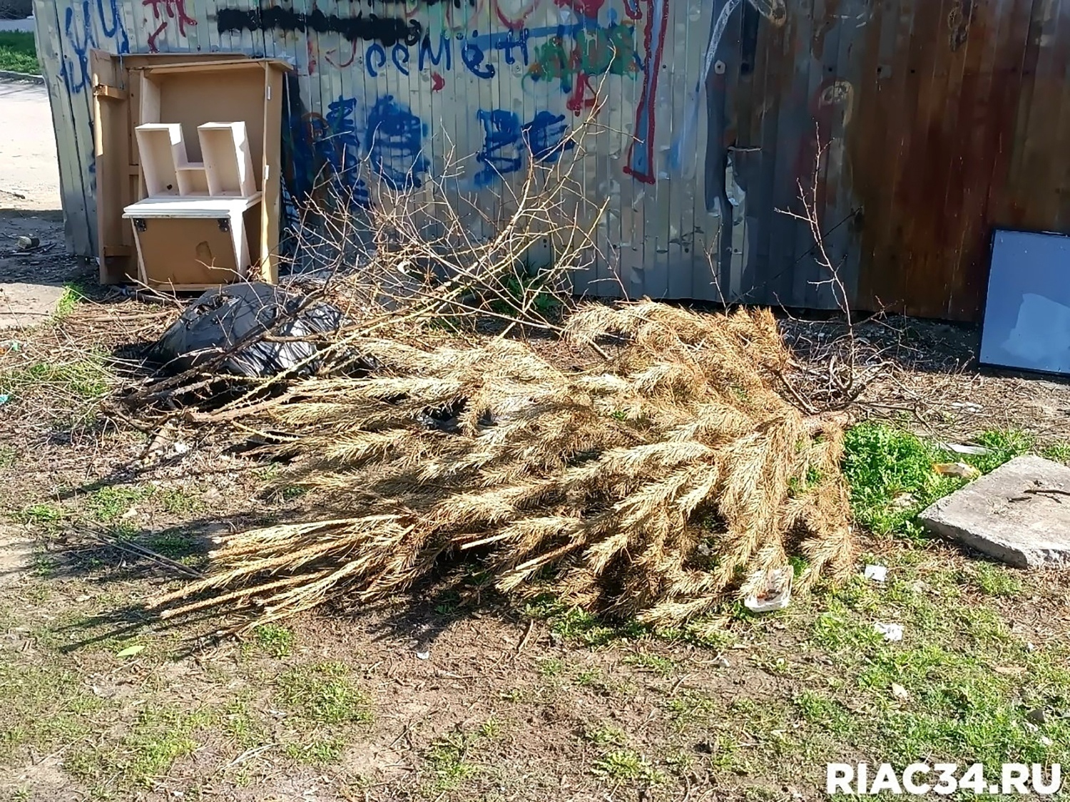 На дворе конец апреля, но в Волгограде до сих пор появляются елки около мусорных контейнеров! 🤣