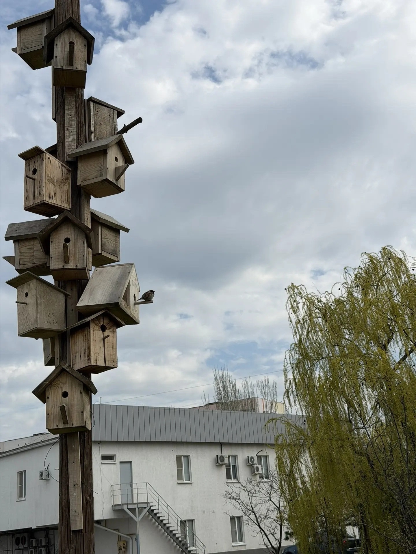 Доброе утро ☀️