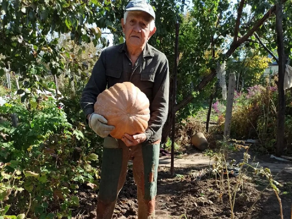 «Расскажи о своей фазенде»: супруги Бабиковы из Волжского раскрыли секрет урожая тыквы