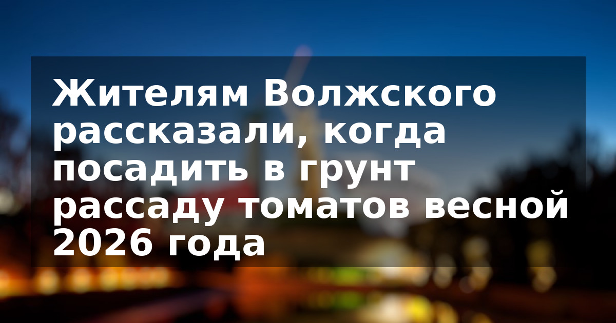 Жителям Волжского рассказали, когда посадить в грунт рассаду томатов весной 2026 года