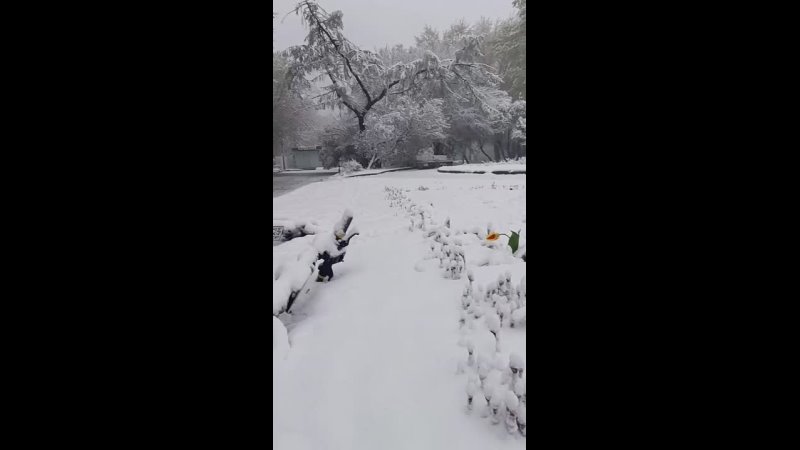 Вот и понедельник! 🌥️