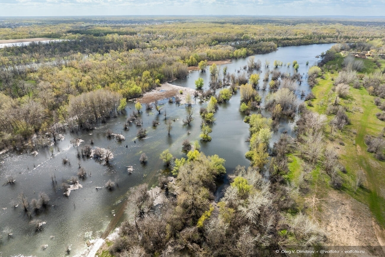 Полноводная Волго-Ахтубинская пойма в объективе волгоградского фотографа [https://vk.com/wall-49910138_12455|Олега Димитрова]! 👏🤩🌳