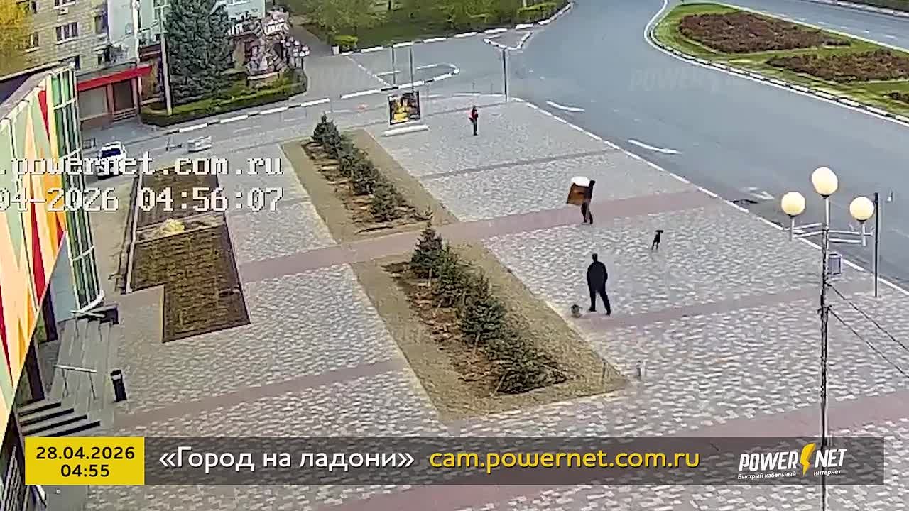 А вот и видео с кражей кулича в центре Волжского 👀