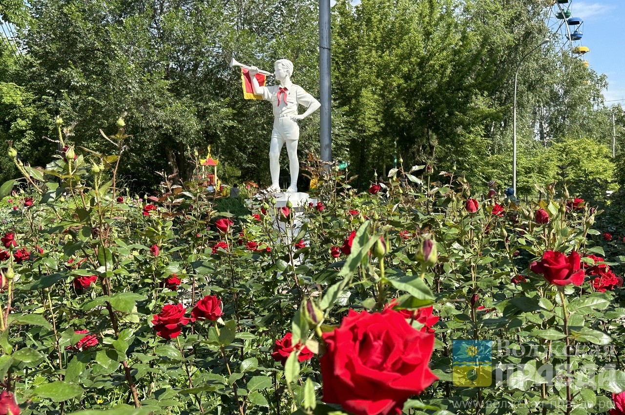 Что посмотреть в Волжском с 1 по 3 мая: афиша мероприятий