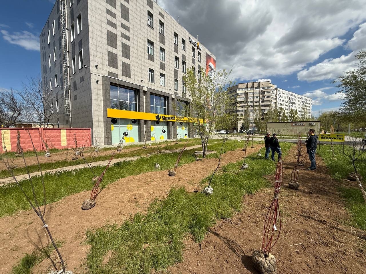 В Волжском появится уличный коворкинг с аллеями и беседками