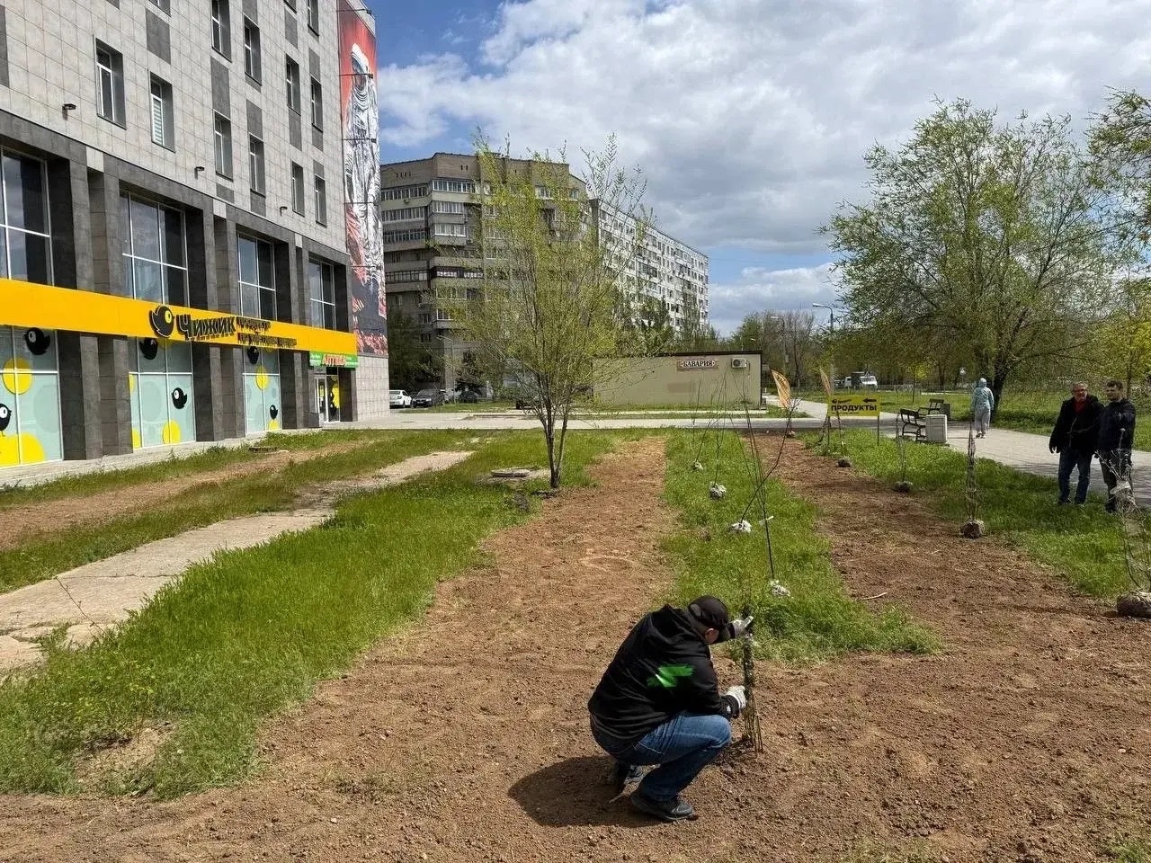 🌿 Powernet создаёт уличную коворкинг-зону