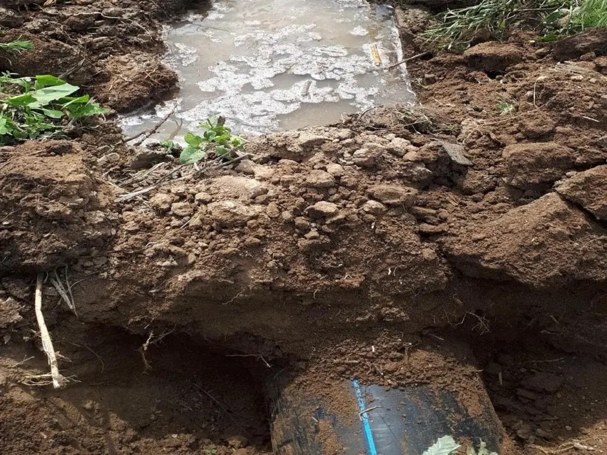 🛢️ Суд заставил выплатить полмиллиона рублей за загрязнение участка на проспекте Ленина