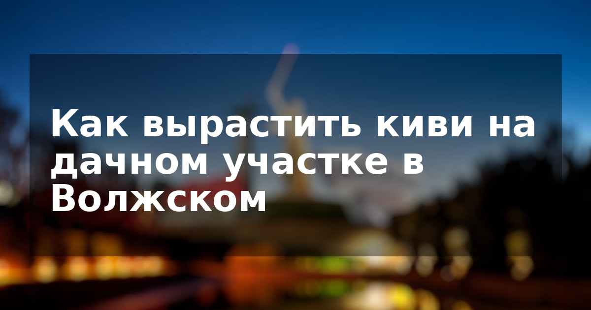 Как вырастить киви на дачном участке в Волжском